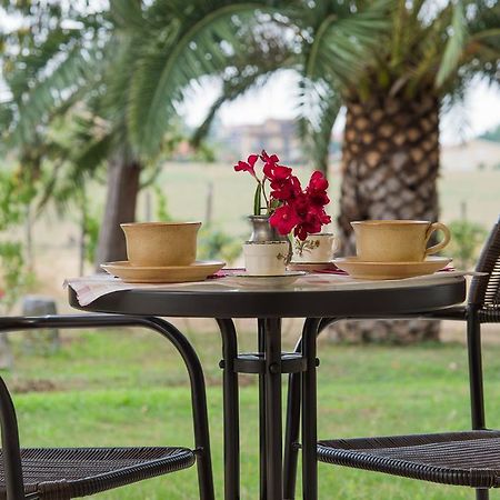Villa Degli Oleandri Bnb 로마 외부 사진